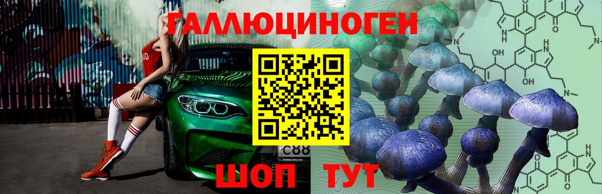 Псилоцибиновые грибы Psilocybe  Вход с VPN  Галлюциногенные грибы Cubensis  Горно-Алтайск 