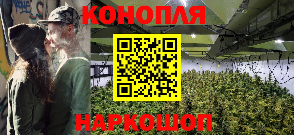 Конопля AK-47 Горно-Алтайск